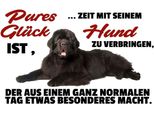 Vianmo Insegna In Legno 20X30 Cm Pures GlüCk Ist Zeit Mit Hund