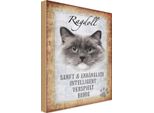 Vianmo Insegna In Legno 18X12 Cm Ragdoll Katze Sanft