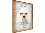 Vianmo Insegna In Legno 30X20 Cm Pudel Hund Aktiv