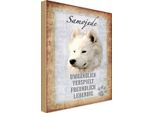 Vianmo Insegna In Legno 30X20 Cm Samojede Hund