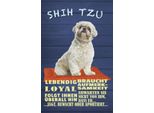 Vianmo Insegna In Legno 30X20 Cm Shih Tzu Hund Lebendig Loyal