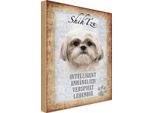 Vianmo Insegna In Legno 18X12 Cm Shih Tzu Hund