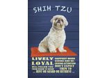 Vianmo Insegna In Legno 30X20 Cm Shih Tzu Hund Lively Loyal
