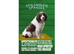 Vianmo Insegna In Legno 30X20 Cm Springer Spaniel Hund Friendly