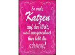 Vianmo Insegna In Legno 30X20 Cm So Vilele Katzen Auf Der Welt
