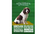 Vianmo Insegna In Legno 30X20 Cm Springer Spaniel Hund ZäRtlich