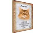 Vianmo Insegna In Legno 30X20 Cm Somali Katze