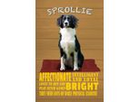 Vianmo Insegna In Legno 30X20 Cm Sprollie Hund Intelligent Loyal