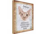 Vianmo Insegna In Legno 30X20 Cm Sphynx Katze