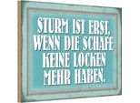Vianmo Insegna In Legno 12X18 Cm Sturm Wenn Schafe Keine Locken