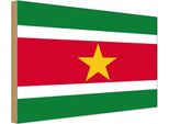 Vianmo Insegna In Legno 20X30 Cm Bandiera Surinames Flag Of Suriname