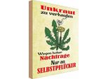 Vianmo Insegna In Legno 18X12 Cm Unkraut Verkaufen SelbstpflüCker