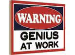 Vianmo Insegna In Legno 12X18 Cm Warning Genius At Work