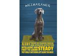 Vianmo Insegna In Legno 18X12 Cm Weimaraner Hund Alert And Steady