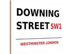 Vianmo Insegna In Legno 12X18 Cm Westminster Downing Street SW1