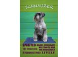 Vianmo Insegna In Legno 30X20 Cm Schnauzer Hund Highly Inelligent