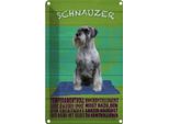 Vianmo Insegna Di Latta 30X20 Cm Schnauzer Hund Temperamentvoll