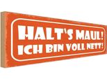 Vianmo Insegna In Legno 10X27 Cm Halt`S Maul Ich Bin Voll Nett