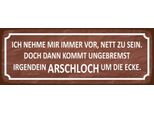 Vianmo Insegna In Legno 10X27 Cm Ich Immer Nett Doch Arschloch