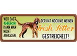 Vianmo Insegna In Legno 10X27 Cm Irish Setter Hund Gestreichelt