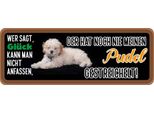 Vianmo Insegna In Legno 10X27 Cm Pudel Hund Gestreichelt