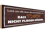 Vianmo Insegna In Legno 10X27 Cm Spinnen Nicht Fliegen KöNnen