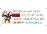 Vianmo Insegna In Legno 10X27 Cm Und Dann Kam Da Ein Hund