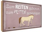 Vianmo Insegna In Legno 30X40 Cm Zum Reiten Geboren Pferd