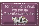 Vianmo Insegna Di Latta 20X30 Cm Katze Ich Bin Nicht Faul Bin Im