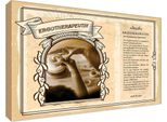 Vianmo Insegna In Legno 12X18 Cm Ergotherapeutin