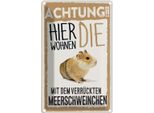 Vianmo Insegna Di Latta 18X12 Cm Tiere Achtung Hier Meerschweinchen
