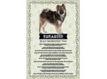 Vianmo Insegna In Legno 30X20 Cm Tiere Eurasier Hausordnung Hunde