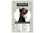 Vianmo Insegna In Legno 30X20 Cm Doberman Eigentumsrechte