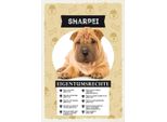 Vianmo Insegna In Legno 30X20 Cm Sharpei Eigentumsrechte
