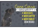 Vianmo Insegna In Legno 20X30 Cm Cane Corso Security Dein Risiko