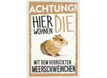 Vianmo Insegna In Legno 30X20 Cm Tiere Achtung Hier Meerschweinchen