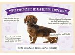 Vianmo Insegna In Legno 20X30 Cm Tiere Dackel Willkommen Wohne Hier