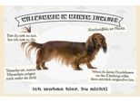 Vianmo Insegna In Legno 20X30 Cm Tiere Hund Ich Wohne Hier Du Nicht