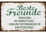 Vianmo Insegna In Legno 20X30 Cm Beste Freunde VerrüCkt Wissen Genau