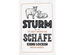 Vianmo Insegna In Legno 30X20 Cm Lustig Sturm Wenn Schafe Locken