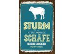 Vianmo Insegna In Legno 30X20 Cm Sturm Wenn Schafe Keine Locken