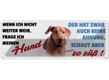 Vianmo Insegna Di Latta 10X27 Cm Hund Schaut Aber So Süß