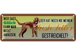 Vianmo Insegna Di Latta 10X27 Cm Irish Setter Hund Gestreichelt