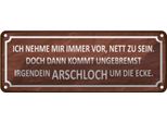 Vianmo Insegna Di Latta 10X27 Cm Ich Immer Nett Doch Arschloch
