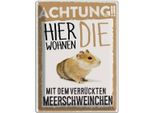 Vianmo Insegna Di Latta 40X30 Cm Tiere Achtung Hier Meerschweinchen