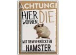 Vianmo Insegna Di Latta 40X30 Cm Tiere Achtung Hier Hamster