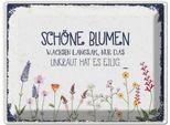 Vianmo Insegna Di Latta 30X40 Cm SchöNe Blumen Wachsen Langsam