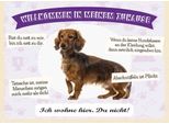 Vianmo Insegna In Legno 30X40 Cm Tiere Dackel Willkommen Wohne Hier