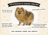 Vianmo Insegna In Legno 30X40 Cm Tiere Spitz Willkommen Wohne Hier