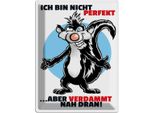 Vianmo Insegna Di Latta 40X30 Cm Bin Nicht Perfekt Aber Nah Dran